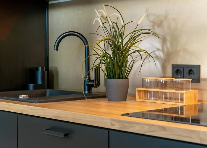 Apartment Ringi Parnu